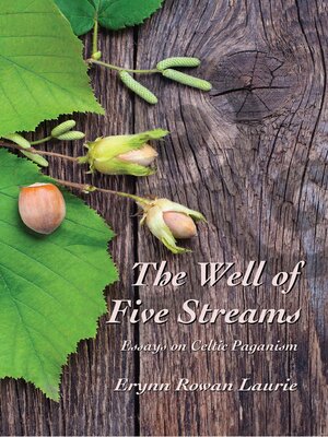 cover image of The Well of Five Streams Essays on Celtic Paganism